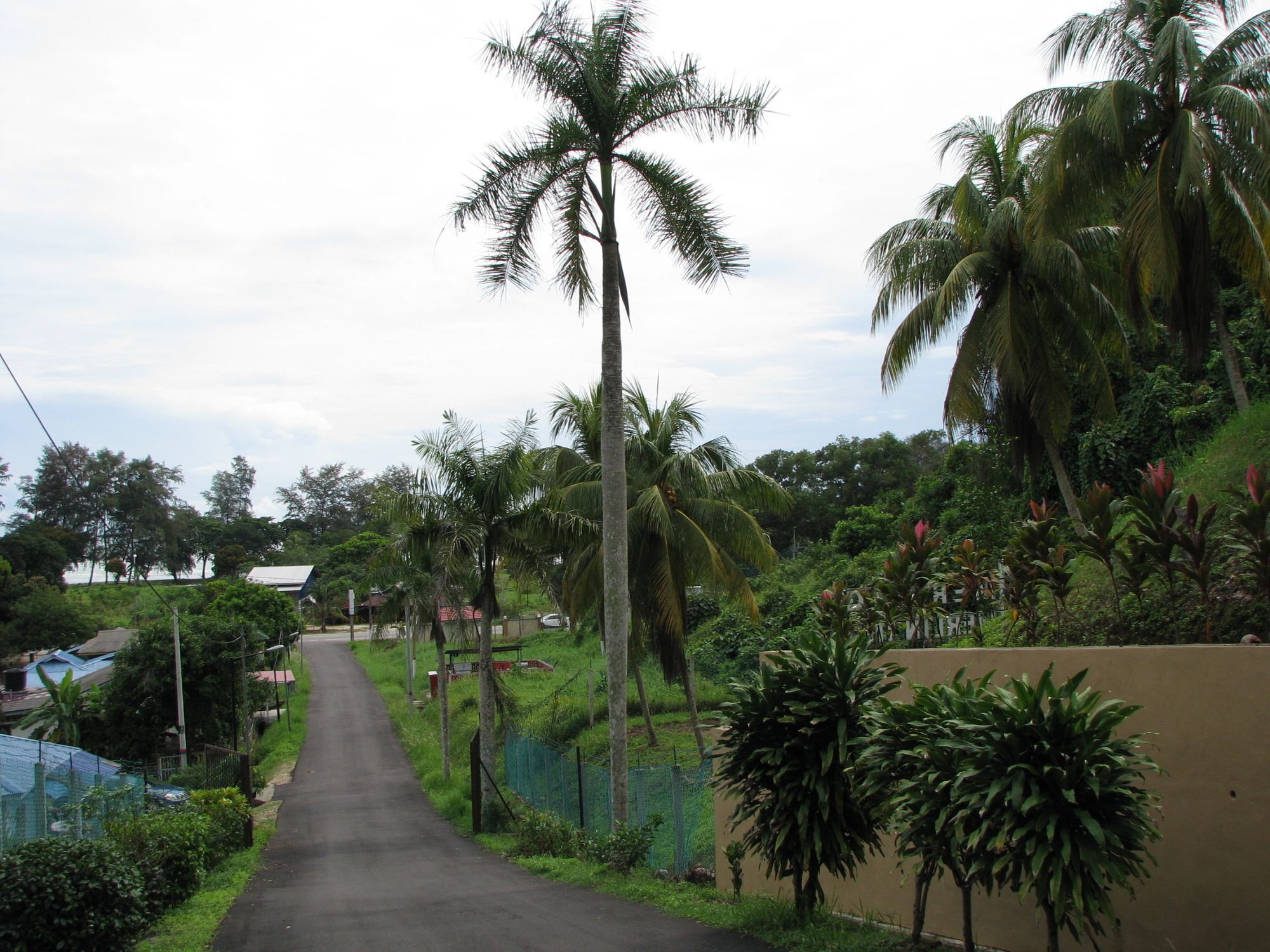 Mersing Merlin Inn Exterior foto